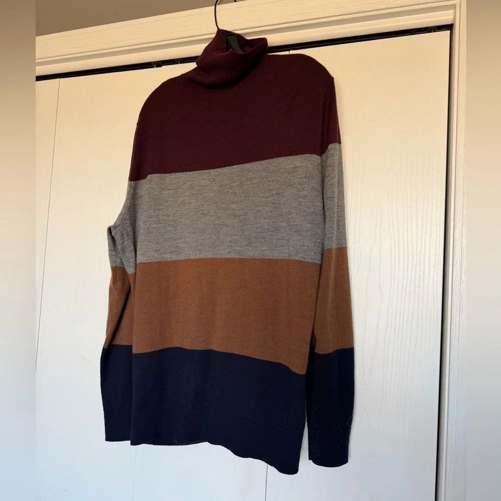 Express Multicolor Turtleneck Sweater for Men